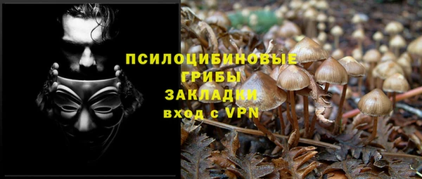 a pvp Абинск