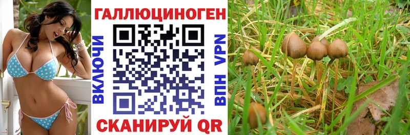 Галлюциногенные грибы ЛСД  ОМГ ОМГ ссылки  Галич  как найти закладки 